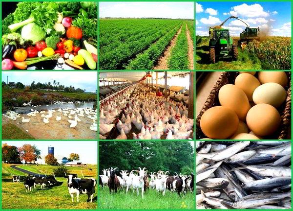 Agribu
