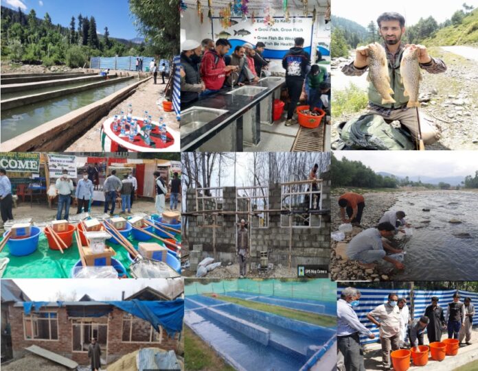 Unemployed educated youth of district Kupwara chose Fisheries, a viable, lucrative business-10