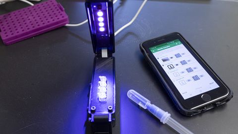 lamp-based-test-rapidly-detects-sars-cov-2-357838-480x270