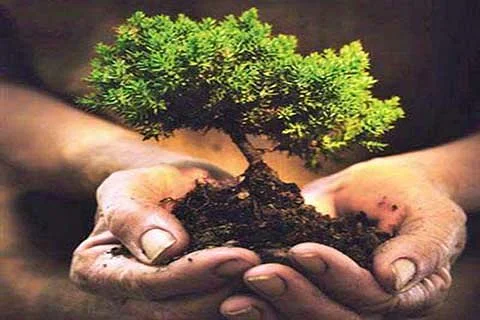 greaterkashmir_import_2020_06_Plantation-drive