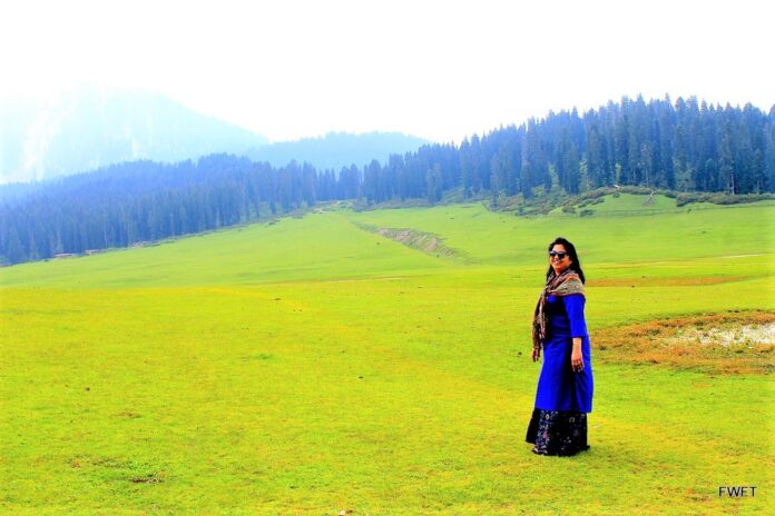 Doodhpathri-Meadow