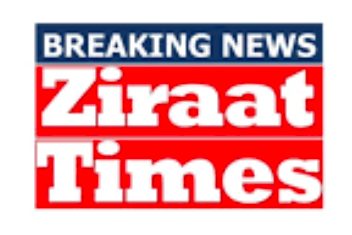 ZT Breaking News
