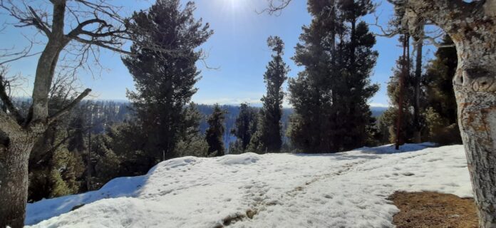 IMG-20220710-WA0083