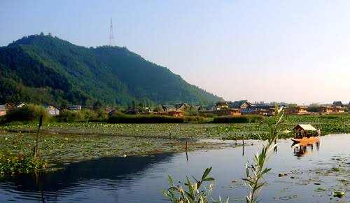 images - 2022-08-20T163259.459