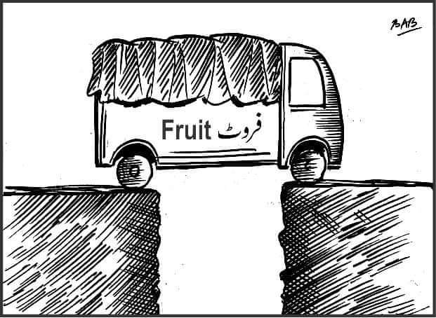 WhatsApp Image 2022-09-25 at 11.24.07 AM