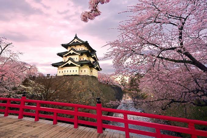 images (38)