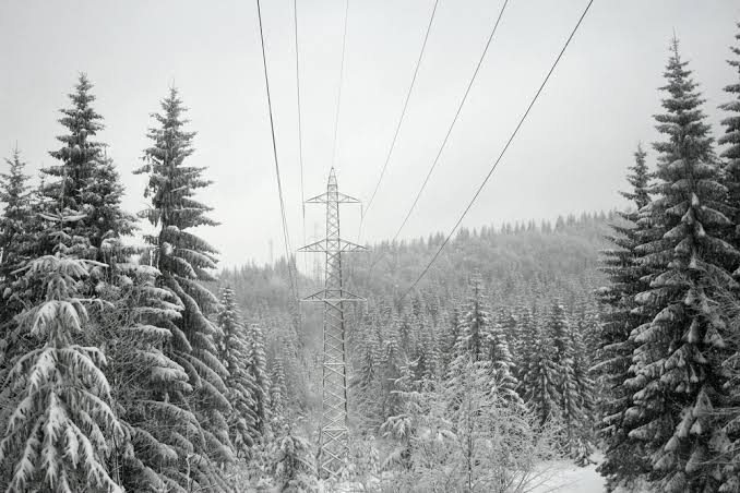 images - 2023-11-30T162016.775