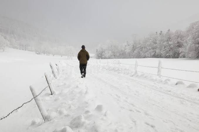 images - 2023-12-11T202949.559