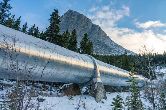 images - 2024-01-19T164808.617