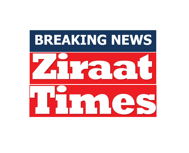 images (6)