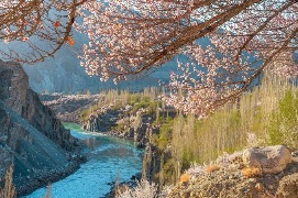 images (17)