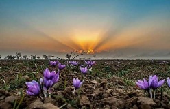 FB_IMG_1731343590509