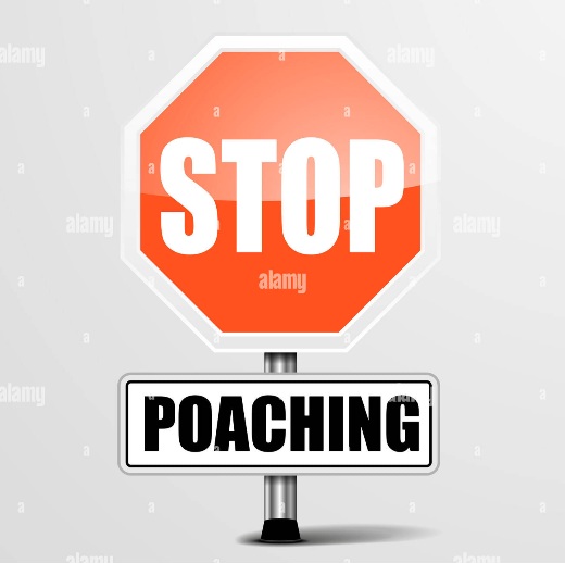 roadsign-stop-poaching-F42E5T
