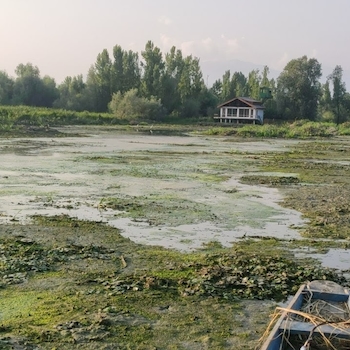 hokersar-wetland-zainakote-hmt-srinagar-zoo-ashy6j43br