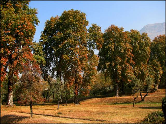 images (14)