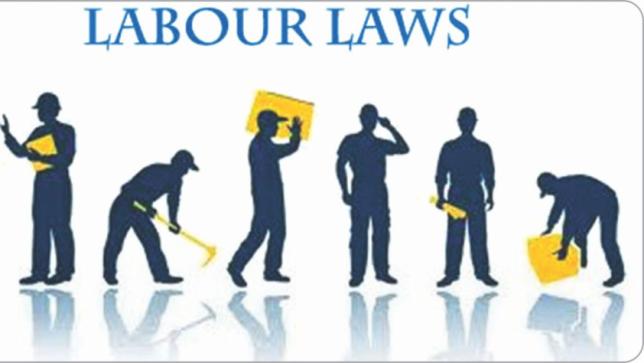 labour_law