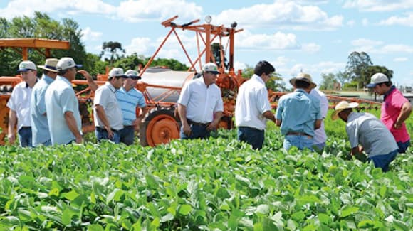 Training programme cultivation